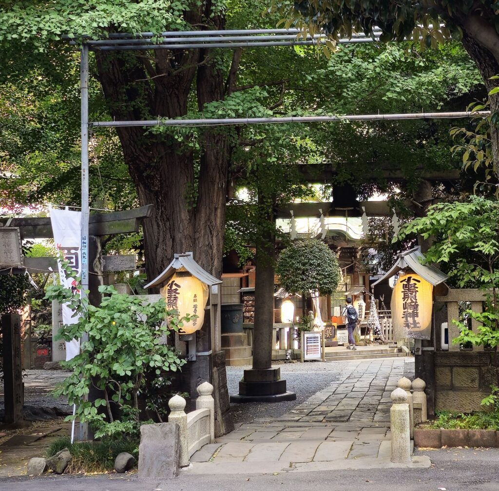 20250802 141531 small