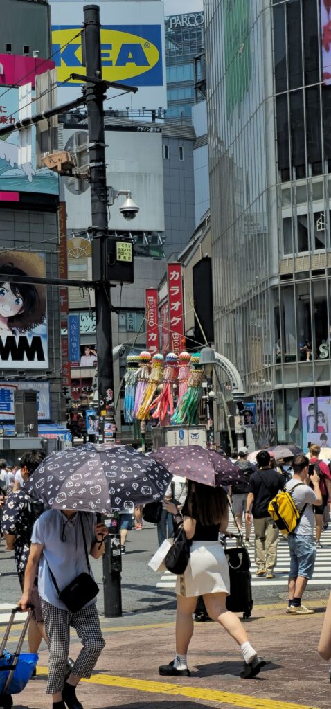 20250804 113752 small