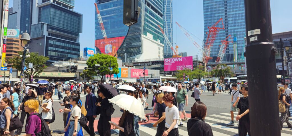 20250804 131556 small