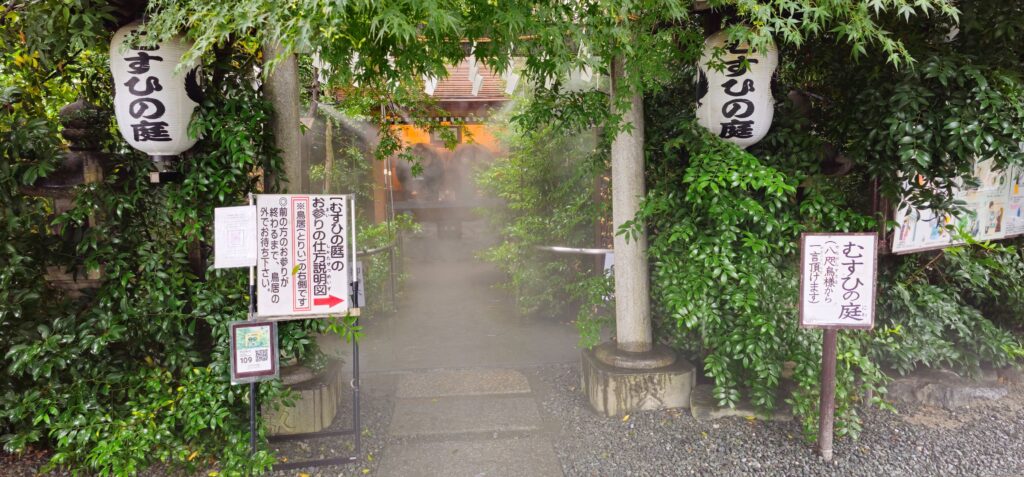 20250810 095000 small