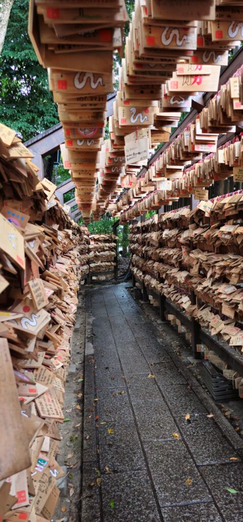 20250810 113850 small