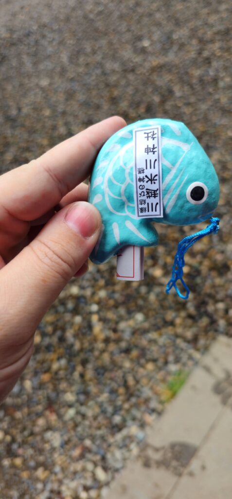 20250810 114428 small