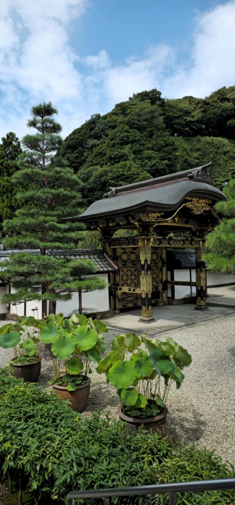 20250816 100606 small