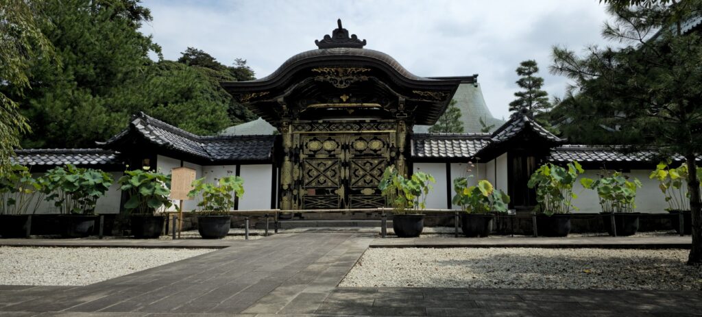 20250816 100706 small