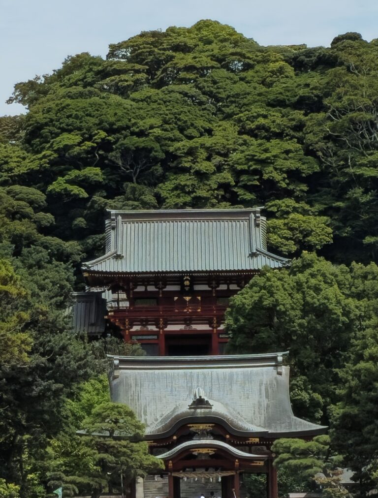 20250816 103944 small