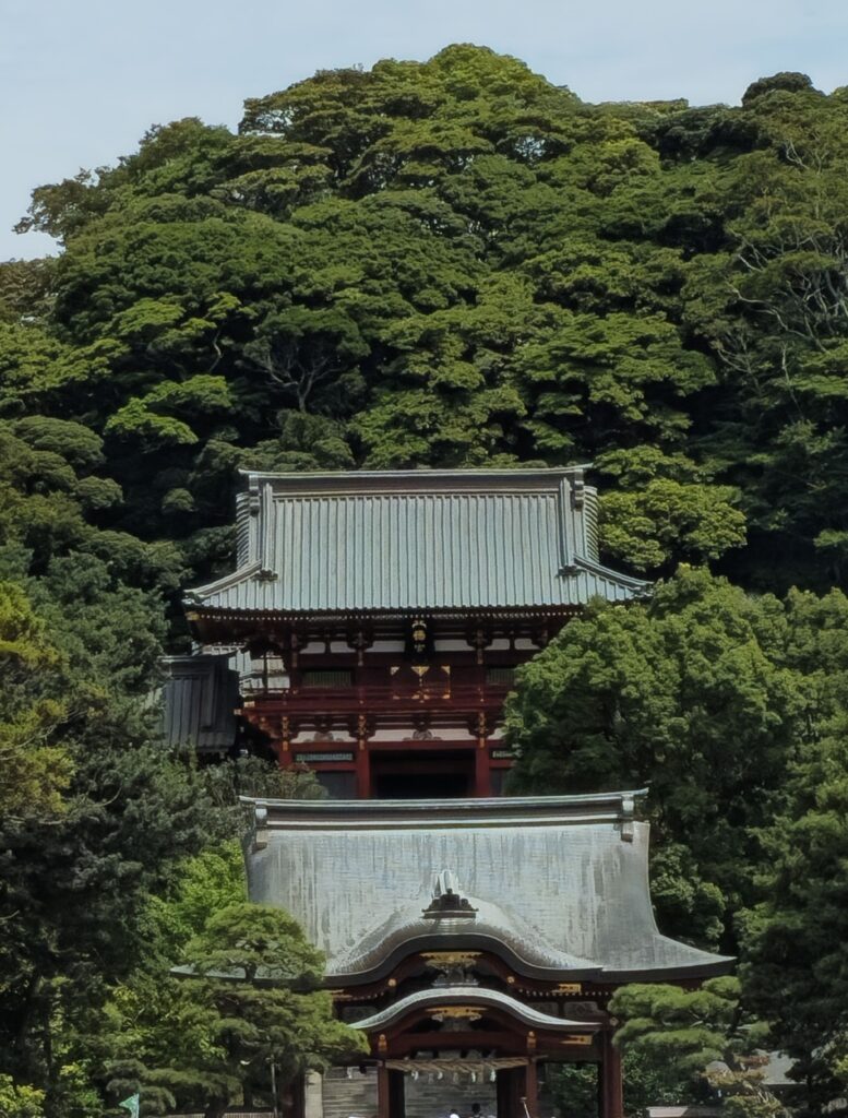 20250816 103944 small