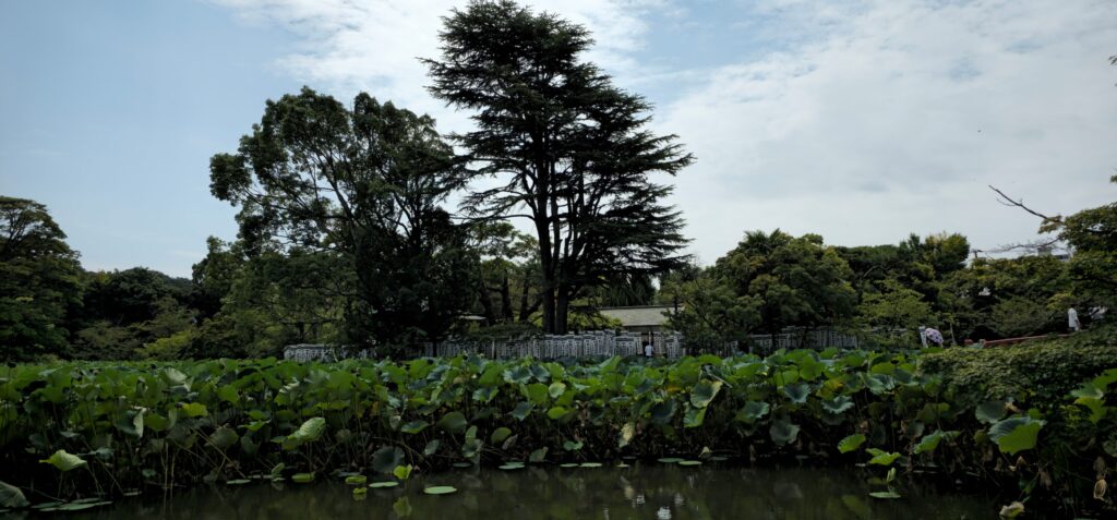 20250816 105247 small