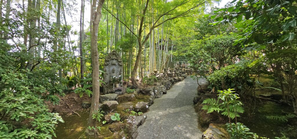 20250816 112221 small