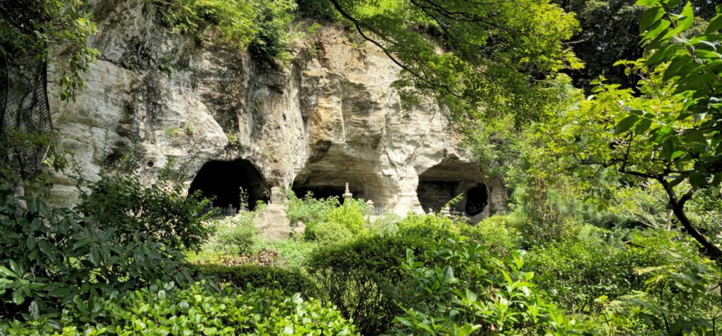 20250816 113119 small