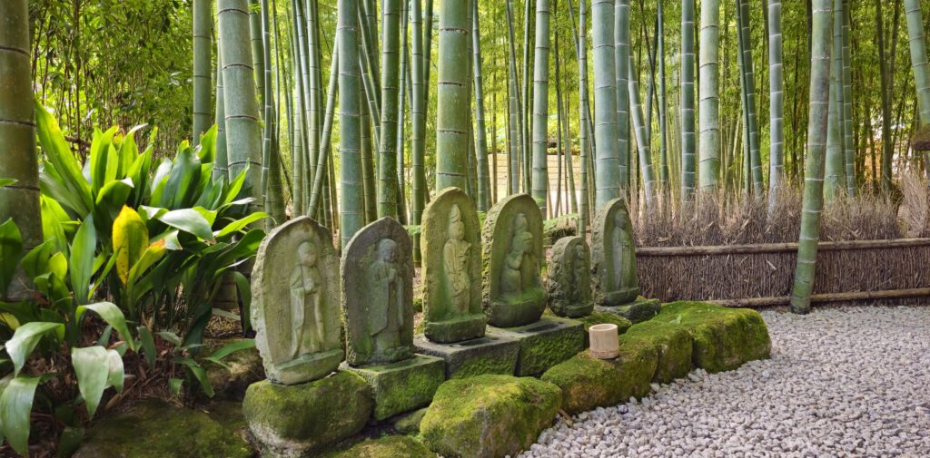 20250816 114408 small