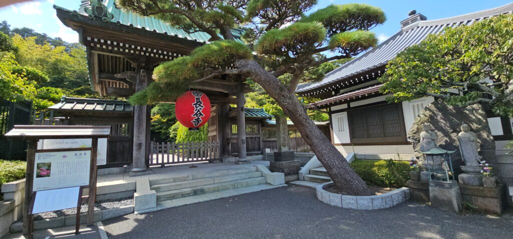 20250816 135509 small