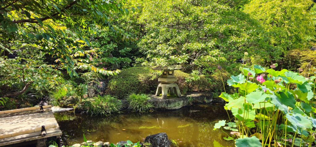 20250816 135736 small