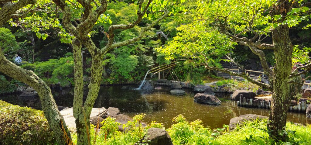 20250816 135949 small