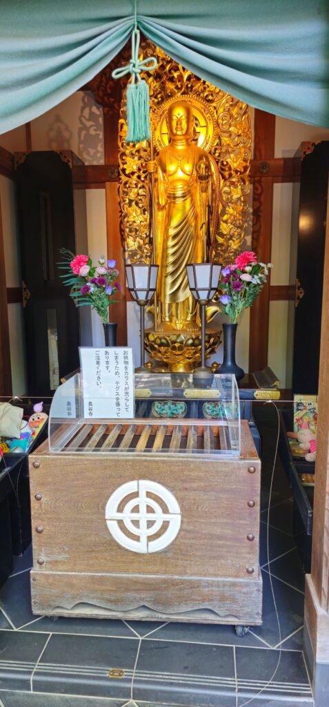 20250816 140245 small