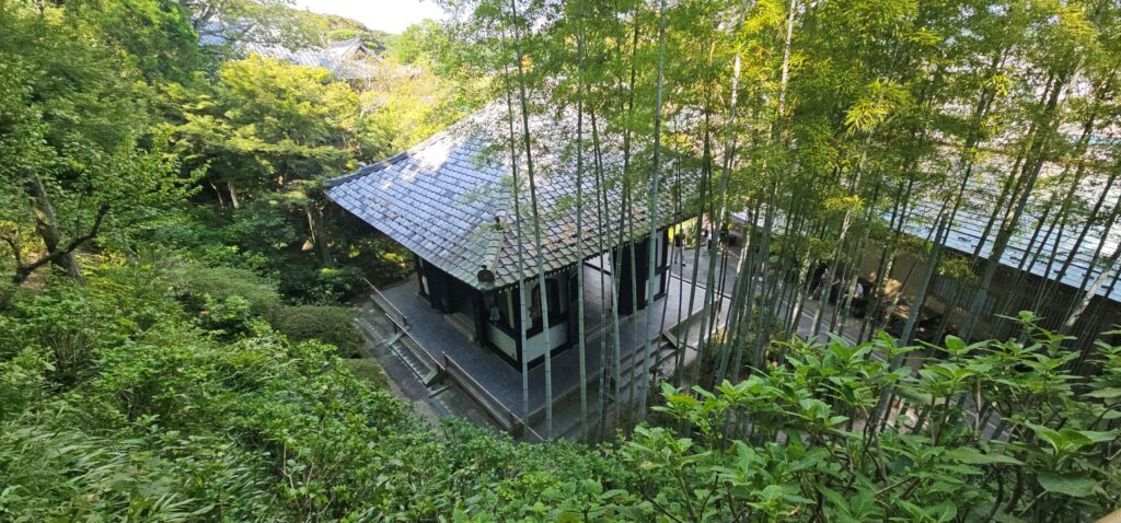 20250816 141345 small