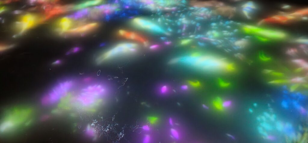 20250818 174425 small