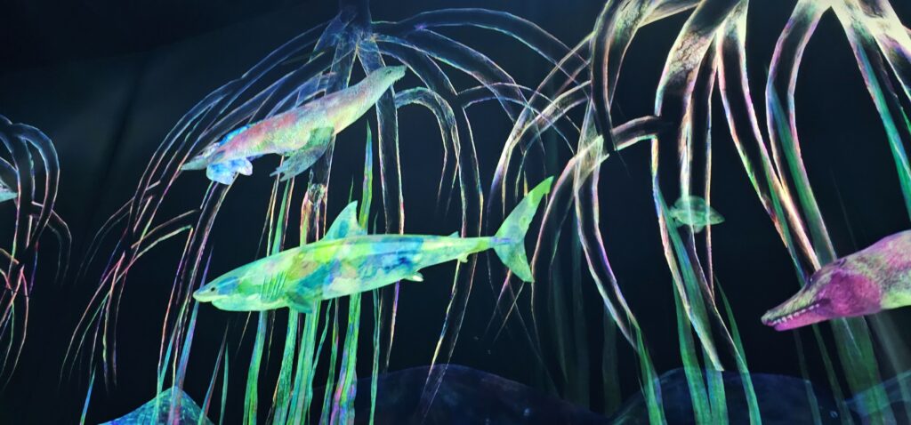 20250818 182646 small