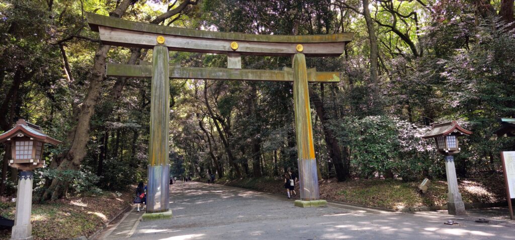 20250907 124941 small