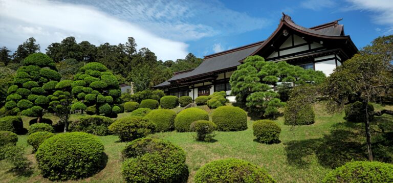 20250914 104143 small