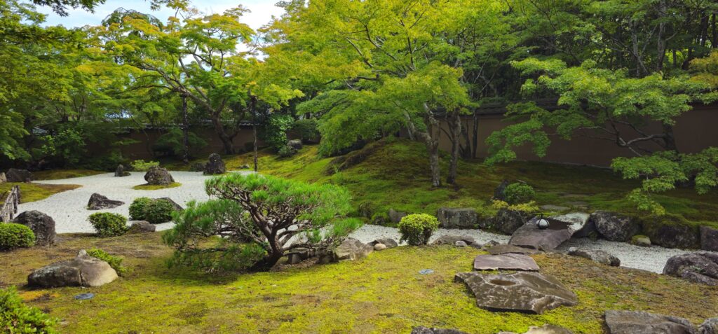 20250914 132817 small