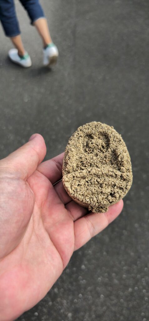 20250914 141802 small