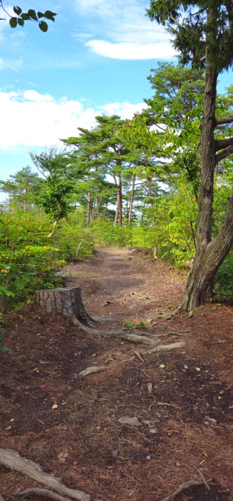 20250914 143016 small