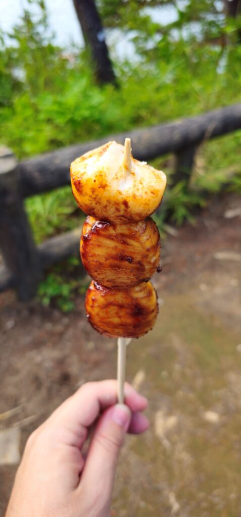 20250914 150634 small