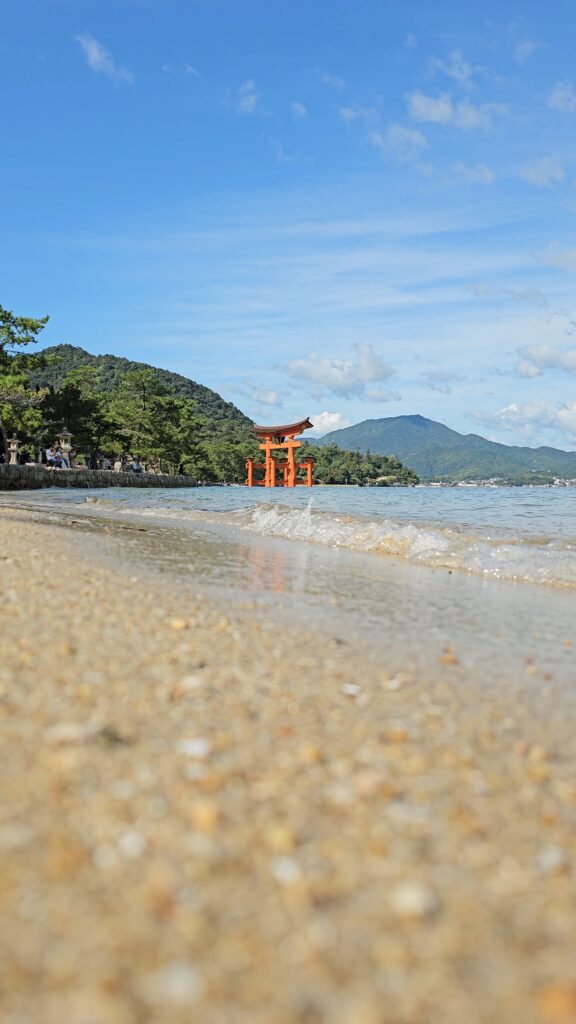 20250921 092123(1) small