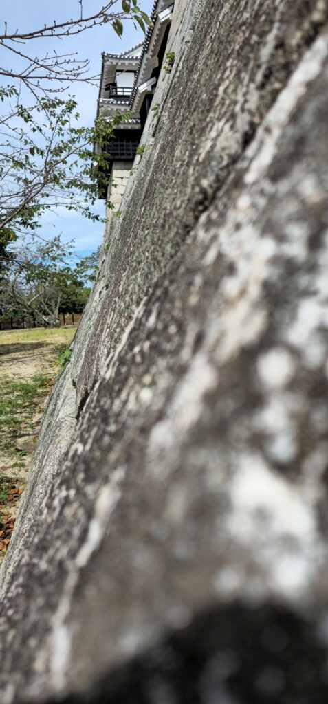 20250924 124135 small