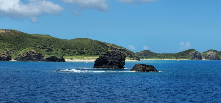 20250926 111602 small