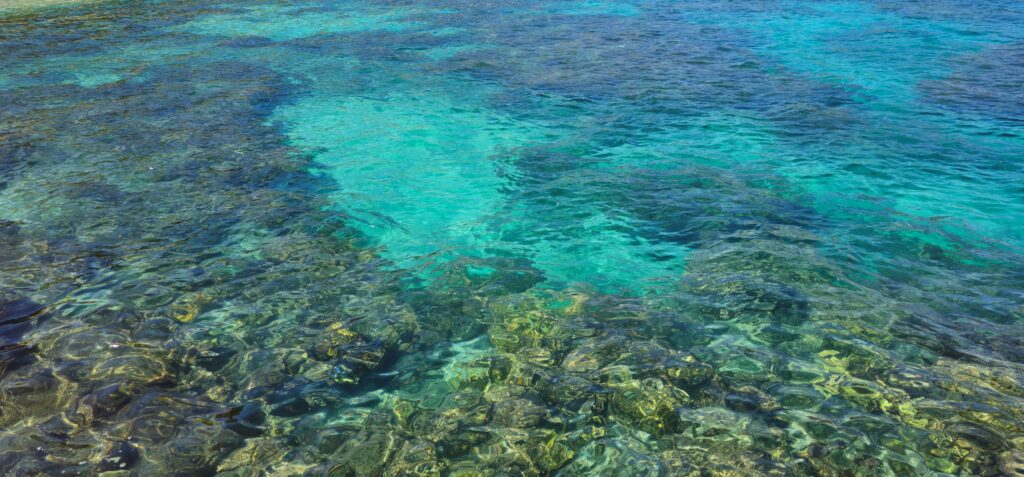 20250926 141041 small