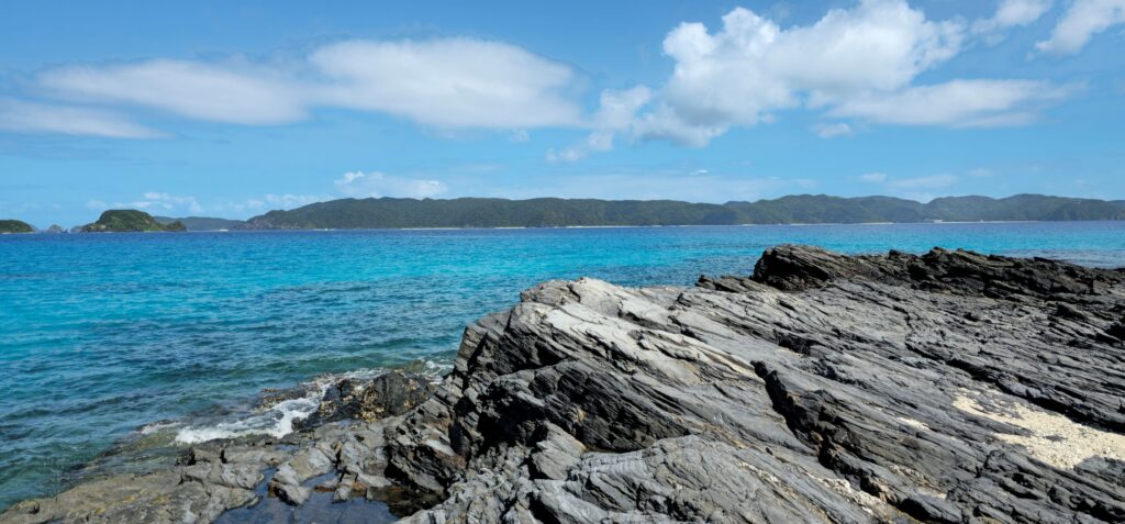 20250926 141128 small