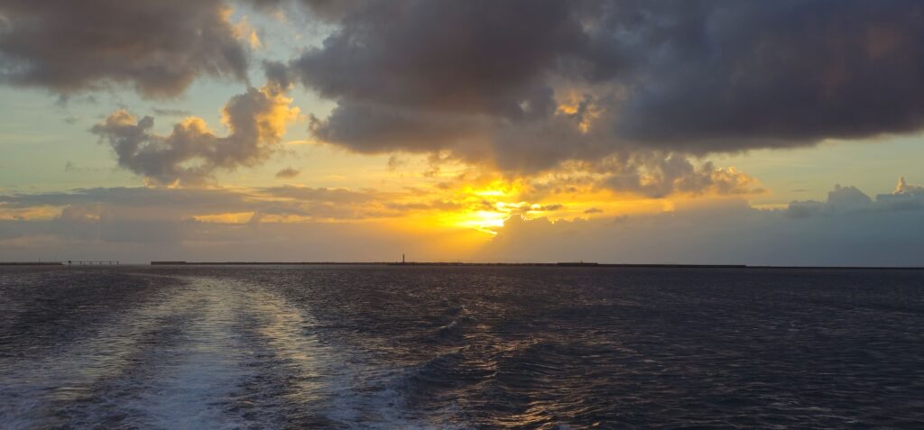 20250926 180940 small