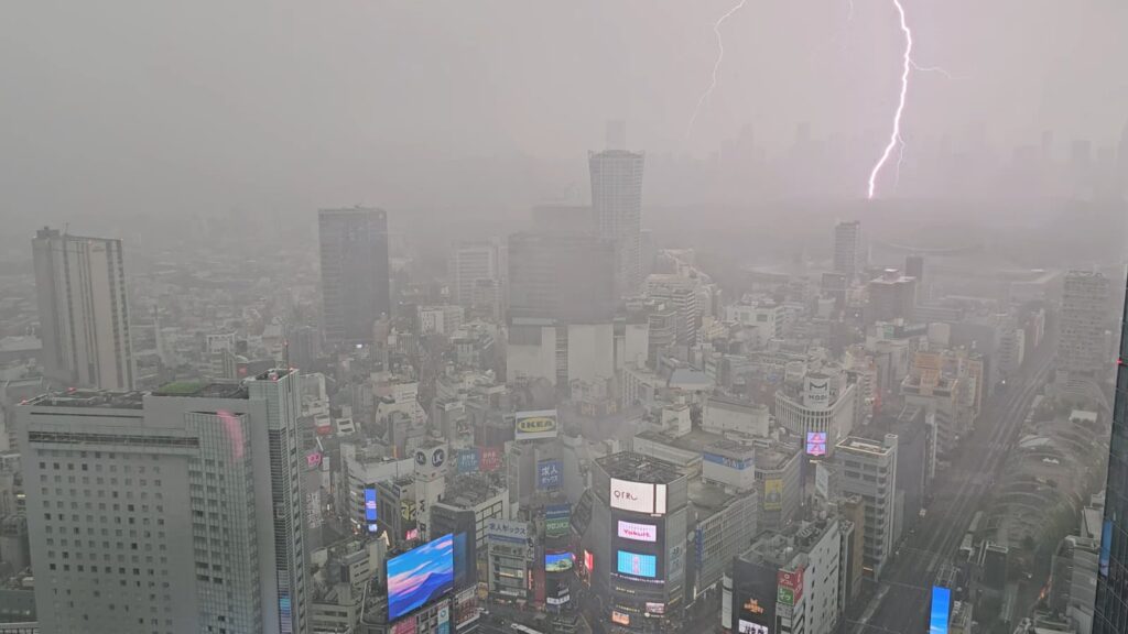 whatsapp bild 2025 09 13 um 09.26.27 52330c3f