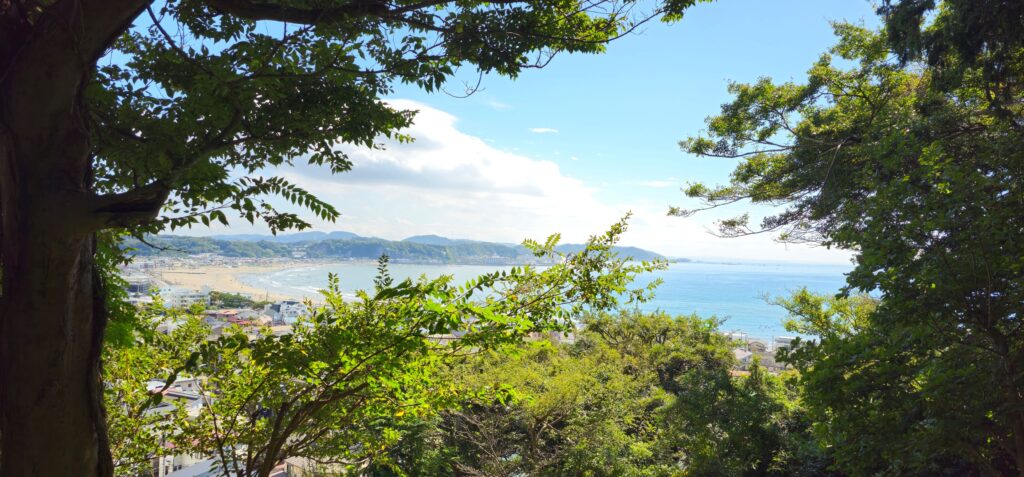 20251005 111517 small