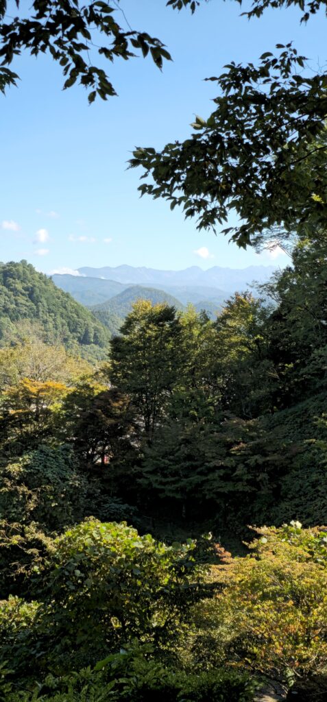 20251010 111104 small