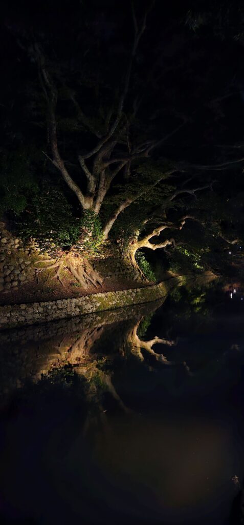 20251011 200556 small