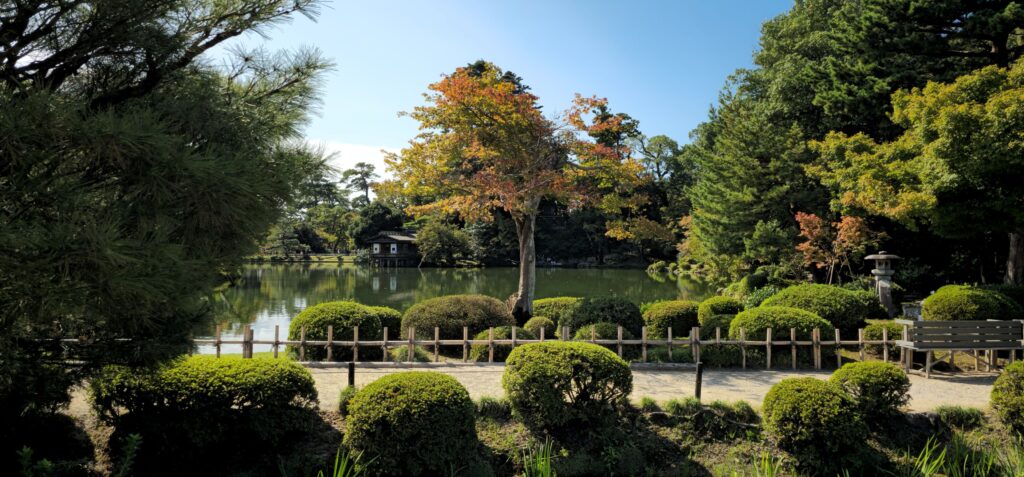 20251012 112631 small