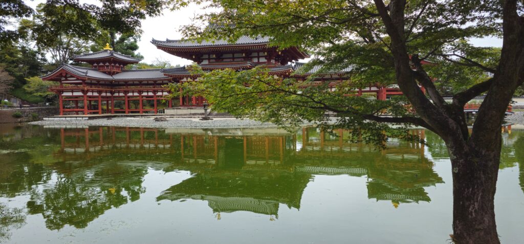 20251018 091445 small