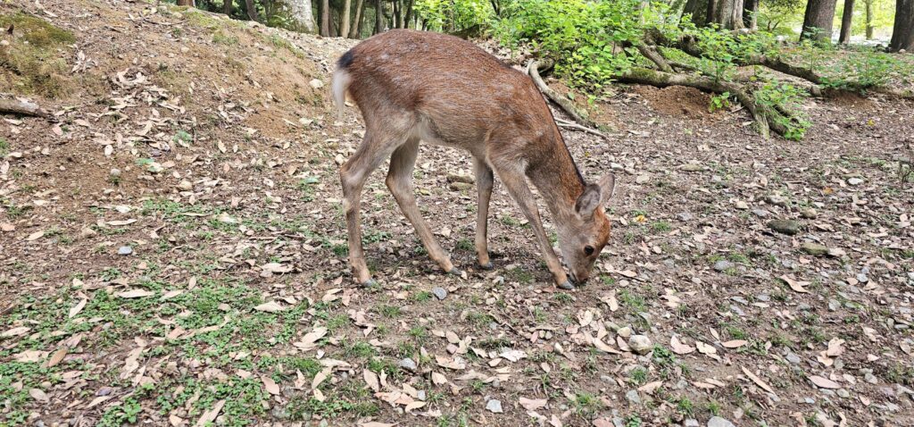 20251018 143708 small