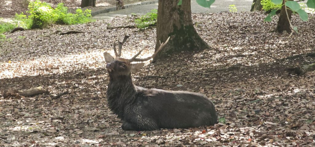 20251018 144158 small