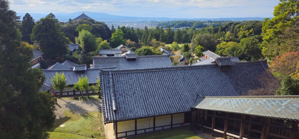 20251018 151725 small