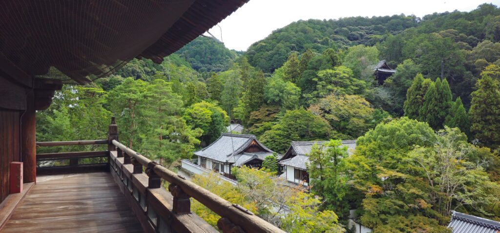 20251021 101348 smallä