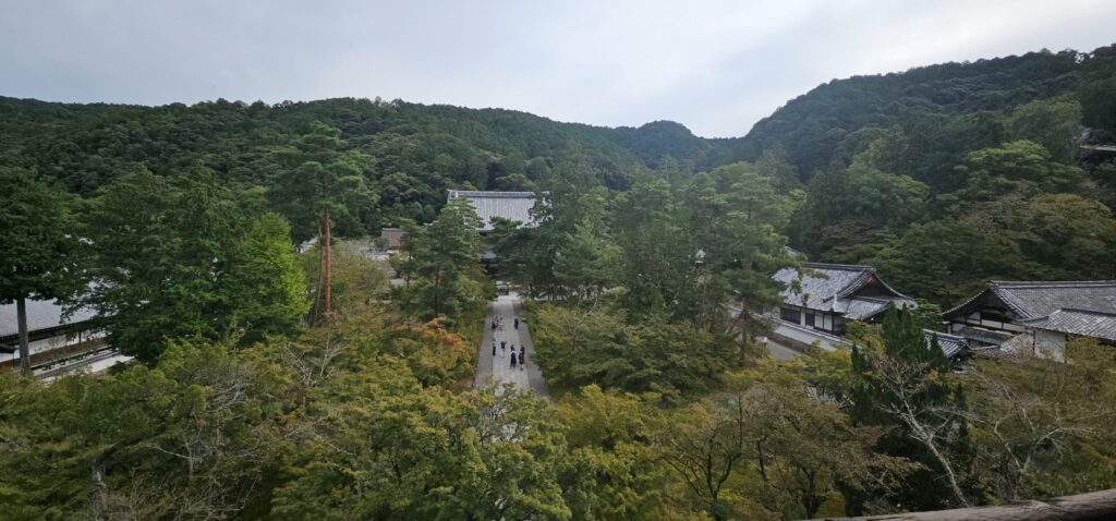 20251021 101750 small