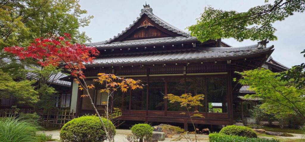 20251021 104322 small