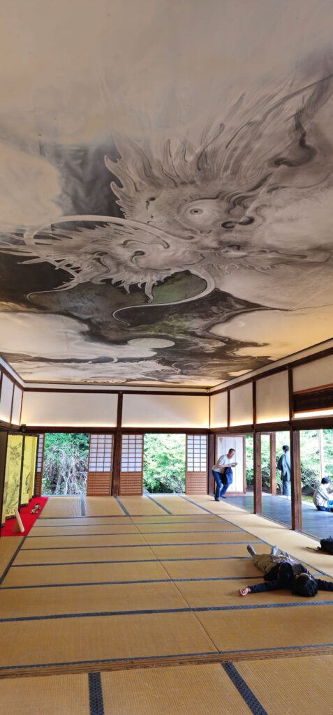 20251021 135116 small