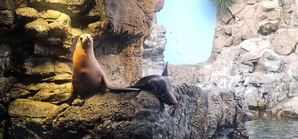 20251025 130337 small