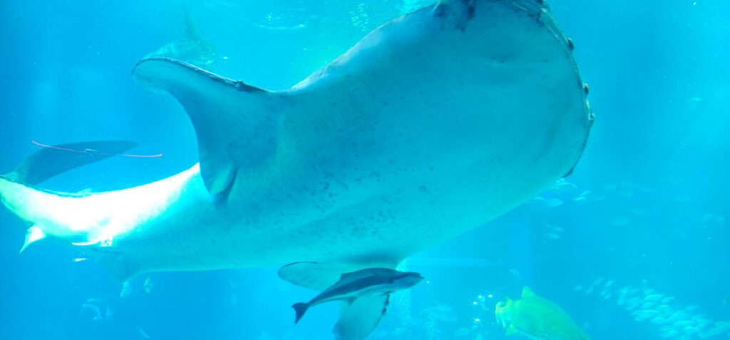 20251025 133714 small